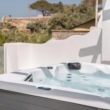 Appartamento Mykonos Lagom *